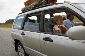 200299919-001_traveling_with_dog