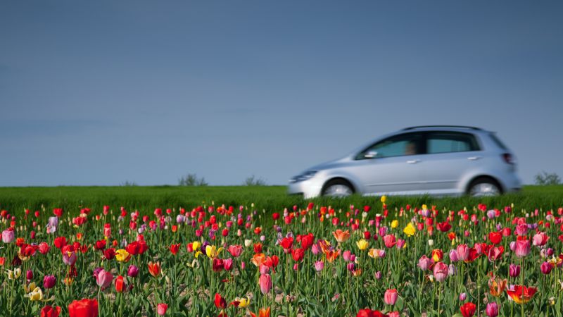dm-tax-season-spring-your-sales-800x450
