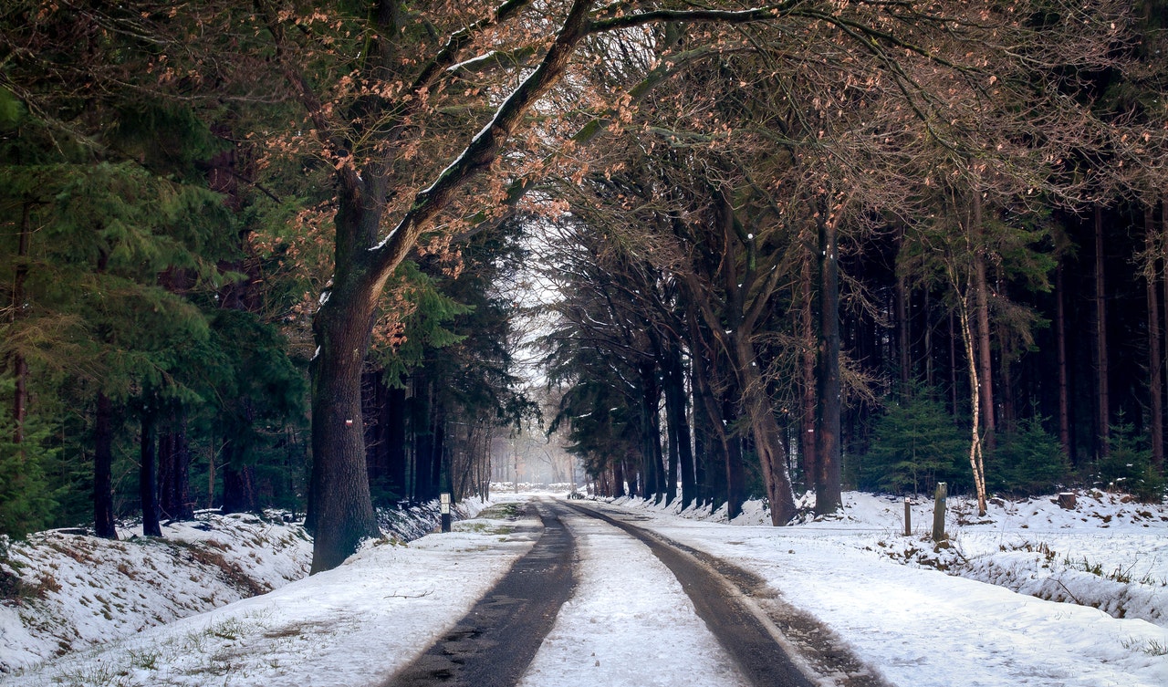 safe winter driving tips